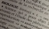 Accueil
